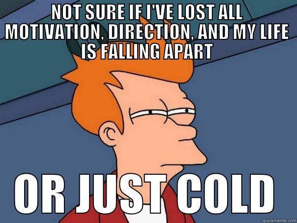 Or just cold - NOT SURE IF I'VE LOST ALL MOTIVATION, DIRECTION, AND MY LIFE IS FALLING APART OR JUST COLD Futurama Fry
