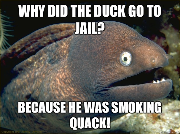Why did the duck go to jail? Because he was smoking quack!  Bad Joke Eel