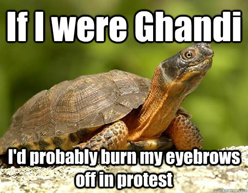If I were Ghandi I'd probably burn my eyebrows off in protest - If I were Ghandi I'd probably burn my eyebrows off in protest  Meth Head Turtle