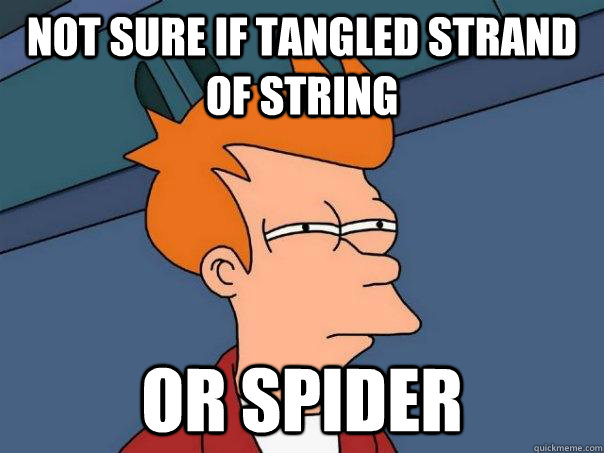 Not sure if tangled strand of string Or spider  Futurama Fry