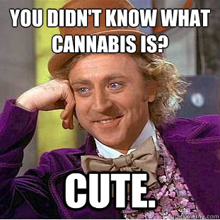 You didn't know what cannabis is? Cute.  Creepy Wonka