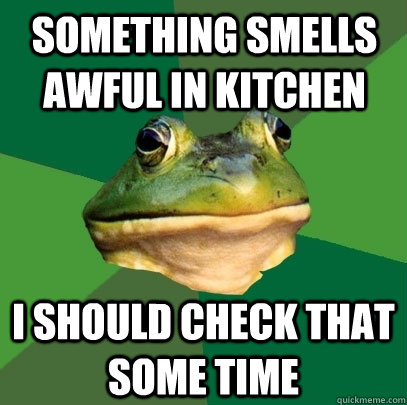 something smells awful in kitchen i should check that some time  Foul Bachelor Frog