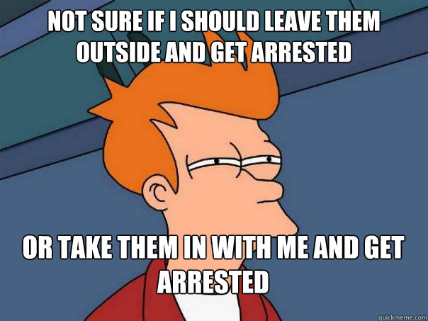 Not sure if I should leave them outside and get arrested Or take them in with me and get arrested - Not sure if I should leave them outside and get arrested Or take them in with me and get arrested  Futurama Fry