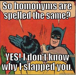 SO HOMONYMS ARE SPELLED THE SAME? YES! I DON'T KNOW WHY I SLAPPED YOU. Slappin Batman