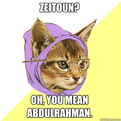 zeitoun? oh, you mean abdulrahman. - zeitoun? oh, you mean abdulrahman.  Hipster Kitty