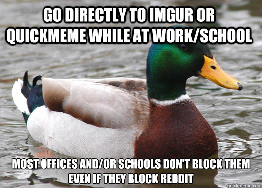 Go directly to imgur or quickmeme while at work/school Most offices and/or schools don't block them even if they block reddit  Actual Advice Mallard