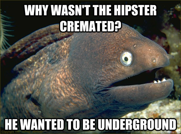 Why wasn't the hipster cremated? he wanted to be underground  Bad Joke Eel