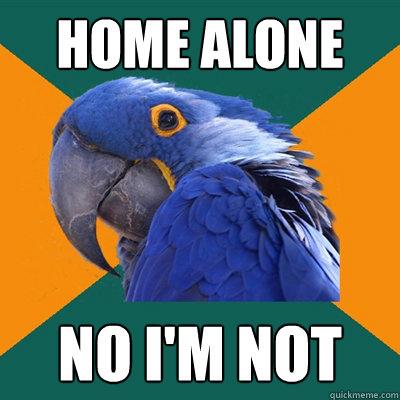 home alone no i'm not  Paranoid Parrot