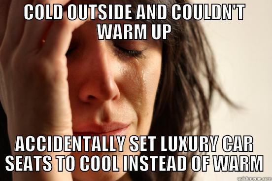 COLD OUTSIDE AND COULDN'T WARM UP ACCIDENTALLY SET LUXURY CAR SEATS TO COOL INSTEAD OF WARM First World Problems