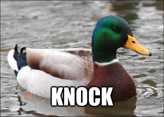  knock -  knock  Actual Advice Mallard