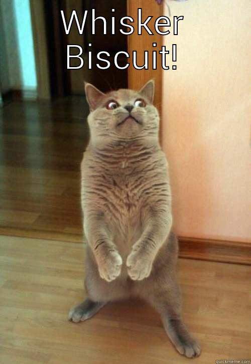 Whisker Biscuit 2 - WHISKER BISCUIT!  Horrorcat
