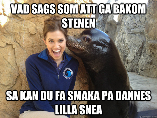 Vad sags som att ga bakom stenen Sa kan du fa smaka pa Dannes lilla snea  Crazy Secret