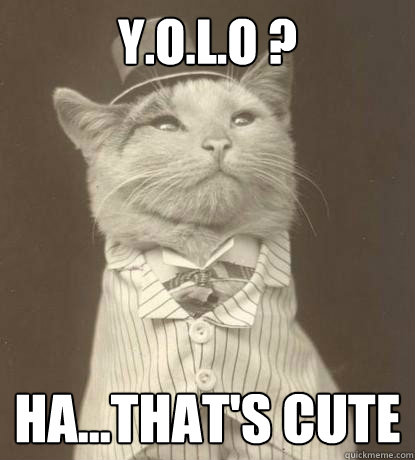 Y.O.L.O ? ha...that's cute  Aristocat