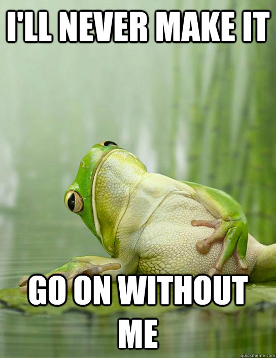 I'll never make it Go on without me  