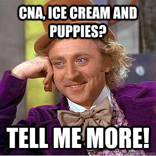 CNA, Ice cream and puppies? Tell me more!  Condescending Wonka