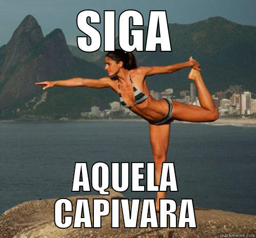 Wise Cynthia - SIGA AQUELA CAPIVARA Misc