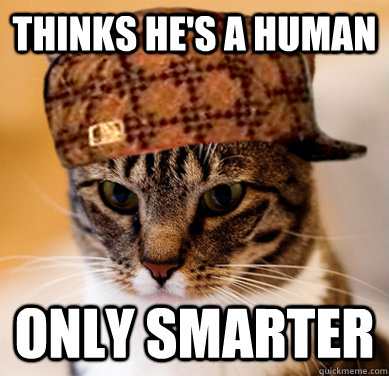 thinks he's a human only smarter  Scumbag Cat