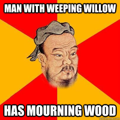 Man with weeping willow Has mourning wood  Confucius says