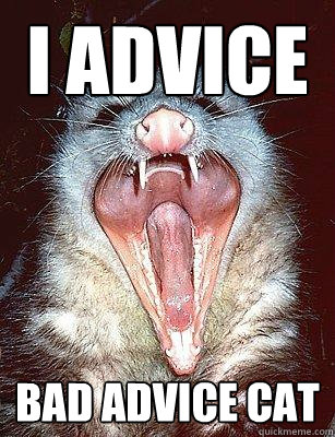 I ADVICE BAD ADVICE CAT  The Angry Possum