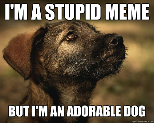 I'm a stupid meme But i'm an adorable dog  