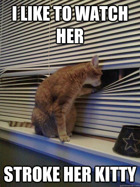 I like to watch her stroke her kitty  Peeping Tomcat
