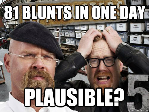 81 blunts in one day
 Plausible?   Snoop Doggs AMA answer
