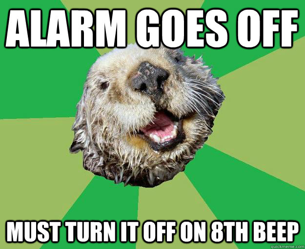 alarm goes off must turn it off on 8th beep  OCD Otter
