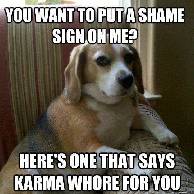 You want to put a shame sign on me? Here's one that says Karma Whore for you  judgmental dog