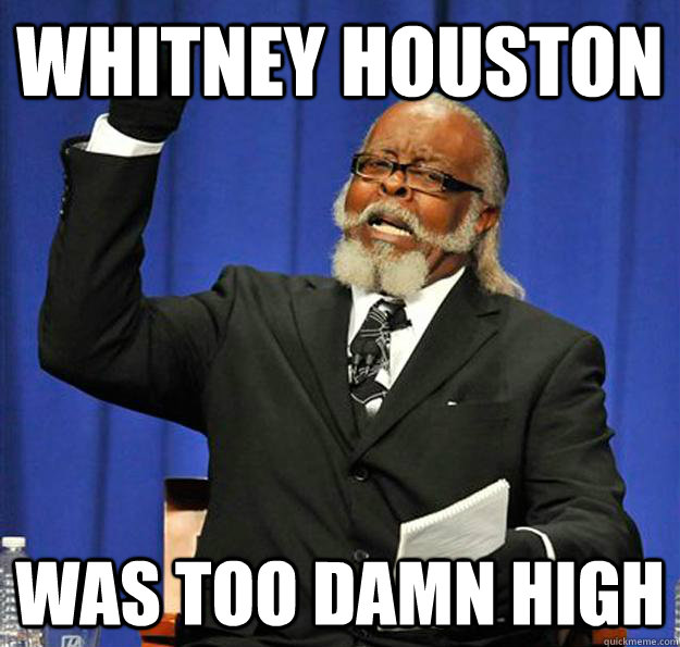 Whitney Houston  Was too damn high  Jimmy McMillan