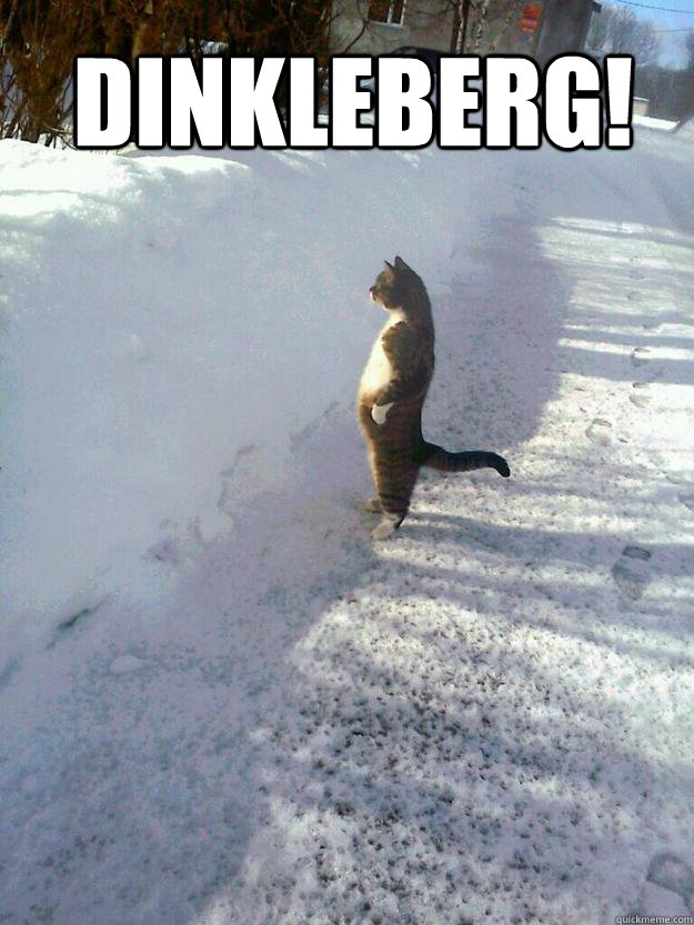 dinkleberg!  - dinkleberg!   CatSnowbank