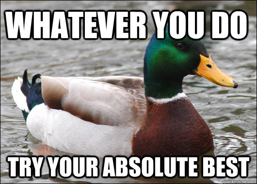 Whatever you do Try your absolute best  Actual Advice Mallard