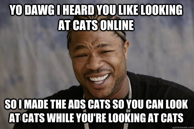yo dawg i heard you like looking at cats online so i made the ads cats so you can look at cats while you're looking at cats  Xzibit meme