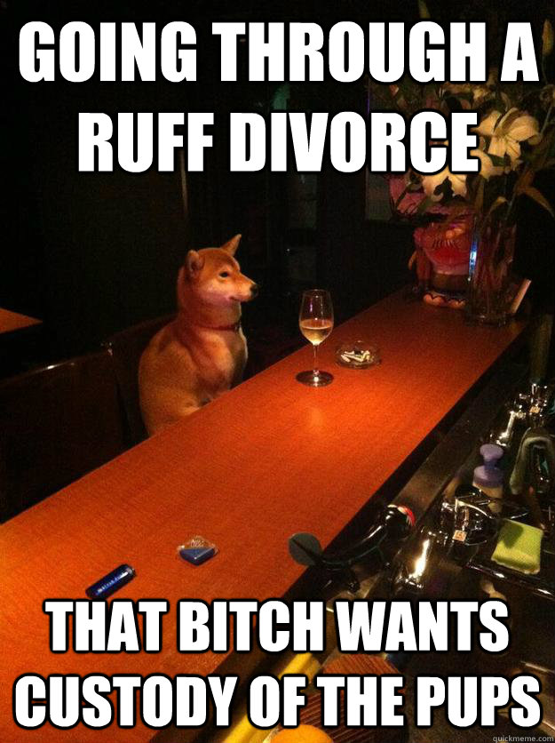 Going through a ruff divorce That bitch wants custody of the pups - Going through a ruff divorce That bitch wants custody of the pups  Bar Dog