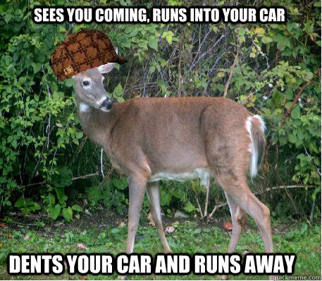 Sees you coming, runs into your car Dents your car and Runs away  