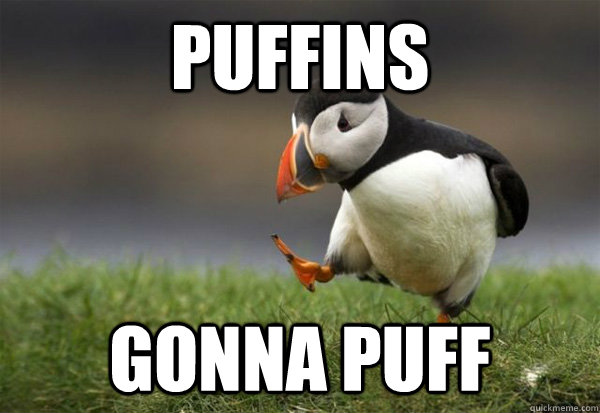 PUFFINS GONNA PUFF - PUFFINS GONNA PUFF  Puffin