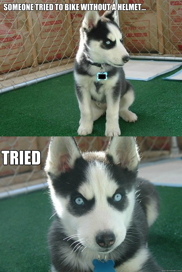 Someone tried to bike without a helmet... tried  Insanity puppy