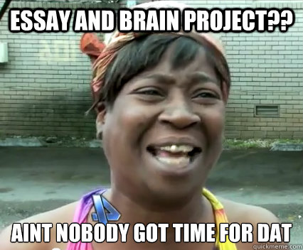 Essay and Brain Project?? aint nobody got time for dat   Aint Nobody got time for dat