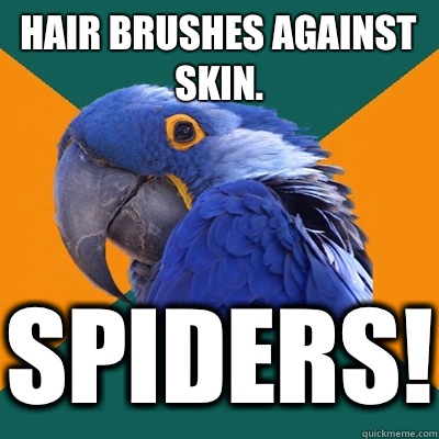 Hair brushes against skin. Spiders!  Paranoid Parrot