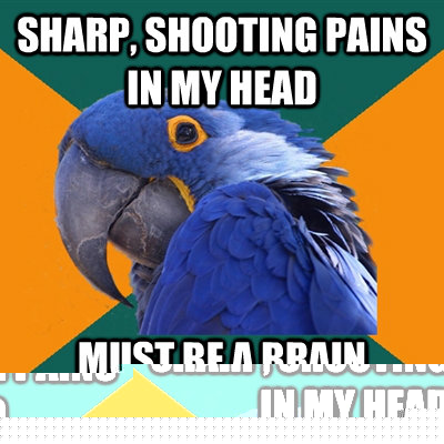 Sharp, shooting pains in my head must be a brain tumor  Paranoid Parrot