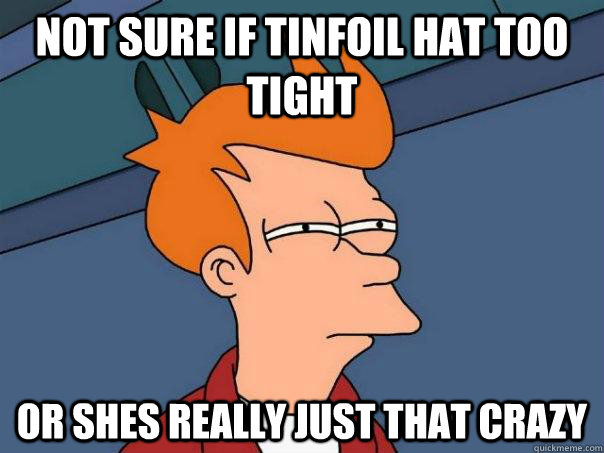 Not sure if tinfoil hat too tight Or shes really just that crazy  Futurama Fry