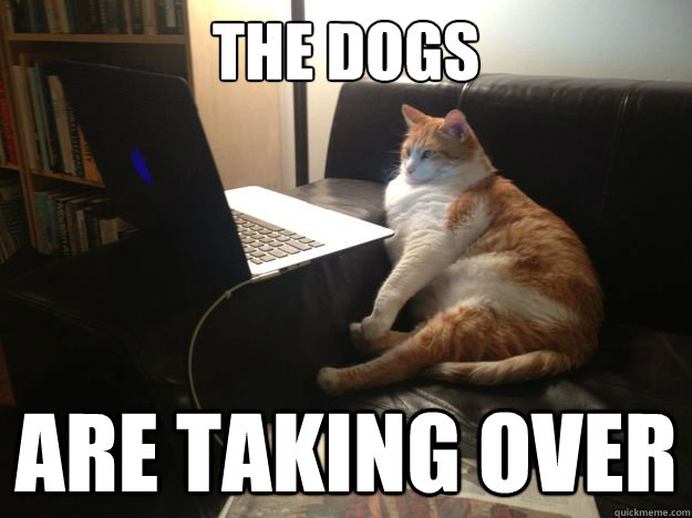 the dogs are taking over  vicarious cat