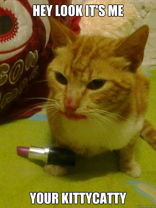 hey look it's me your kittycatty  Lipstick Cat