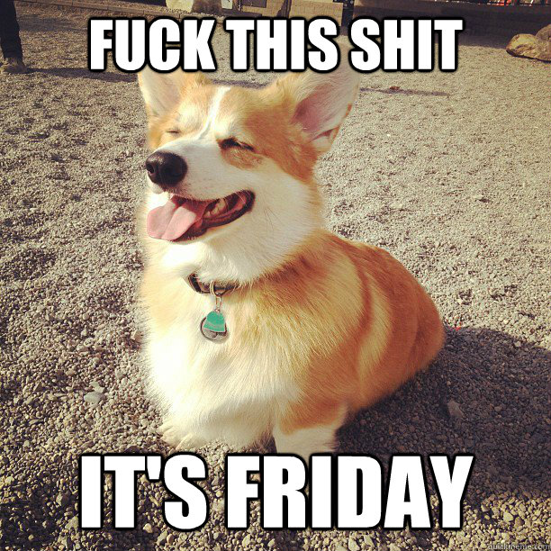 Fuck this shit it's Friday  Corgi Fridays