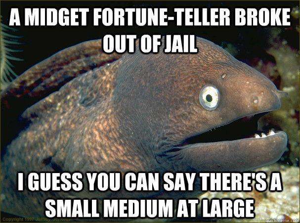 A midget fortune-teller broke out of jail I guess you can say there's a small medium at large  Bad Joke Eel