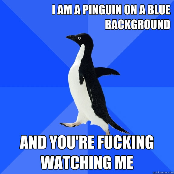 I AM A PINGUIN ON A BLUE BACKGROUND AND YOU'RE FUCKING WATCHING ME  Socially Awkward Penguin
