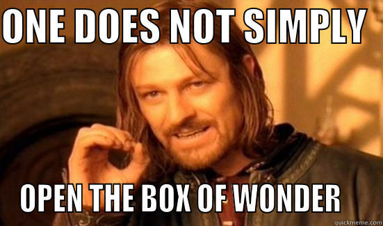 ONE DOES NOT SIMPLY   OPEN THE BOX OF WONDER    Boromir