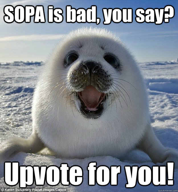 SOPA is bad, you say? Upvote for you!  Easily Pleased Seal