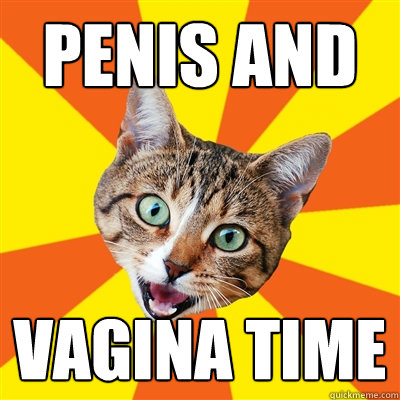 Penis and Vagina Time  Bad Advice Cat