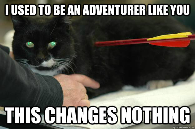 I used to be an adventurer like you This changes nothing - I used to be an adventurer like you This changes nothing  Worlds Toughest Cat