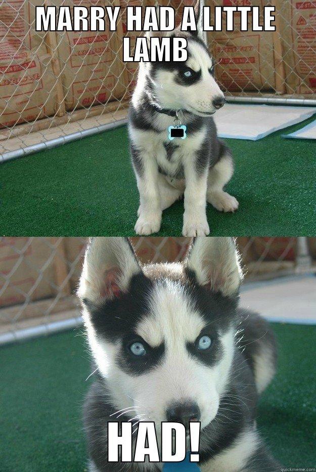 MARRY HAD A LITTLE LAMB HAD! Insanity puppy